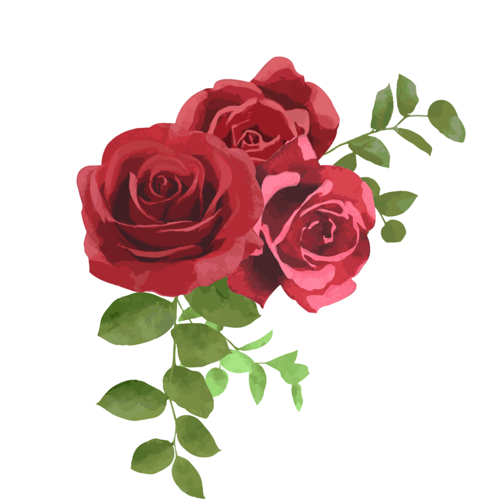 Decorative illustration of a rose