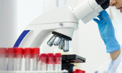 Lab